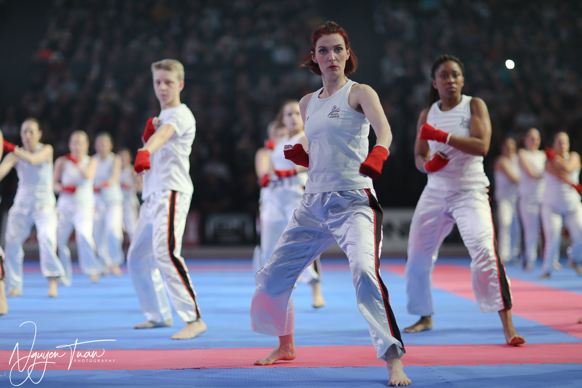 20190324 Festival des Arts Martiaux 2031